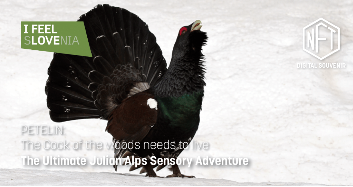 sgbn-sto-wtm-london-2022